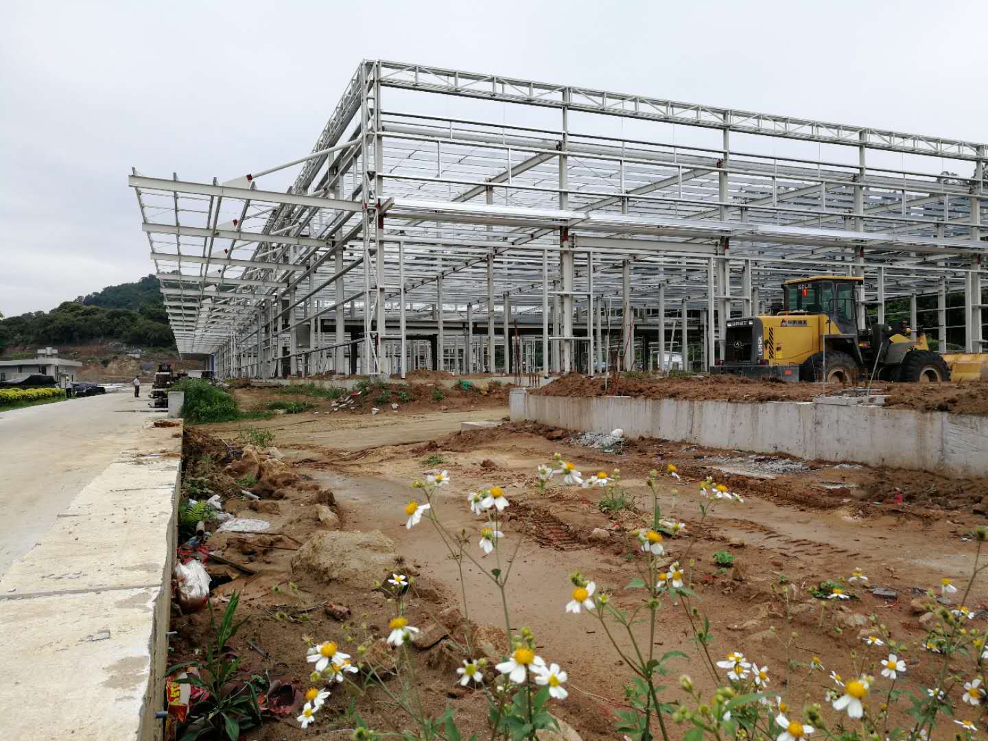 中国·永利(88858cc·VIP认证)官网 - GREEN LIFE