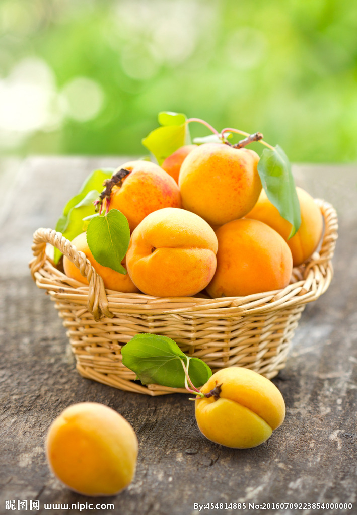 中国·永利(88858cc·VIP认证)官网 - GREEN LIFE