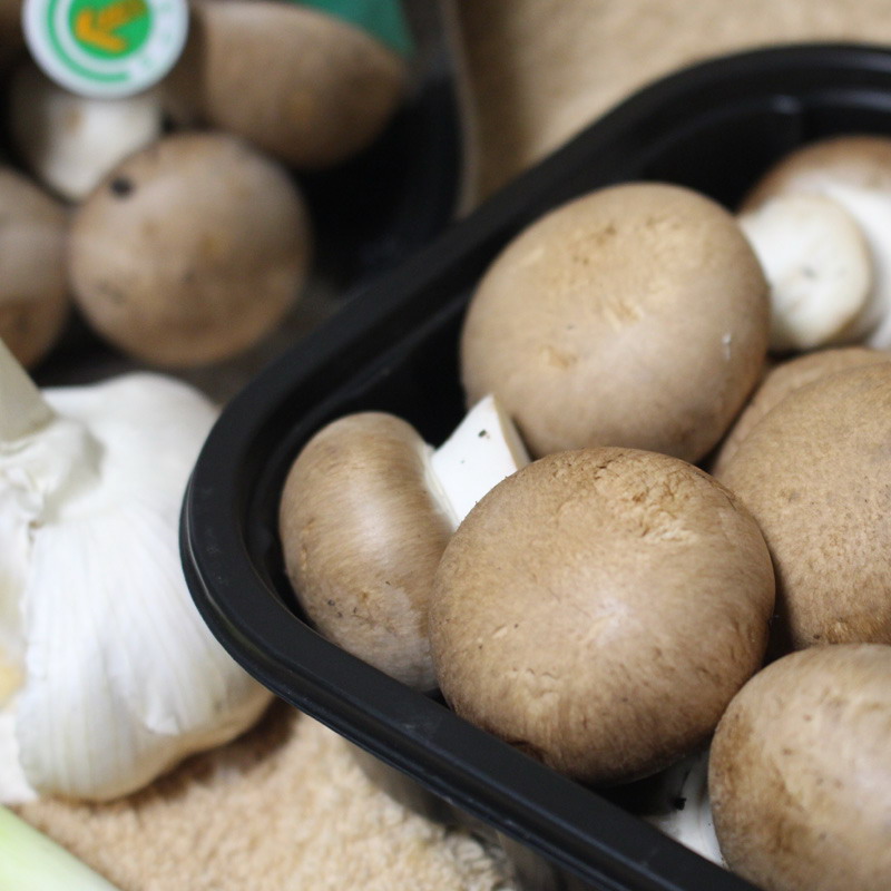 中国·永利(88858cc·VIP认证)官网 - GREEN LIFE