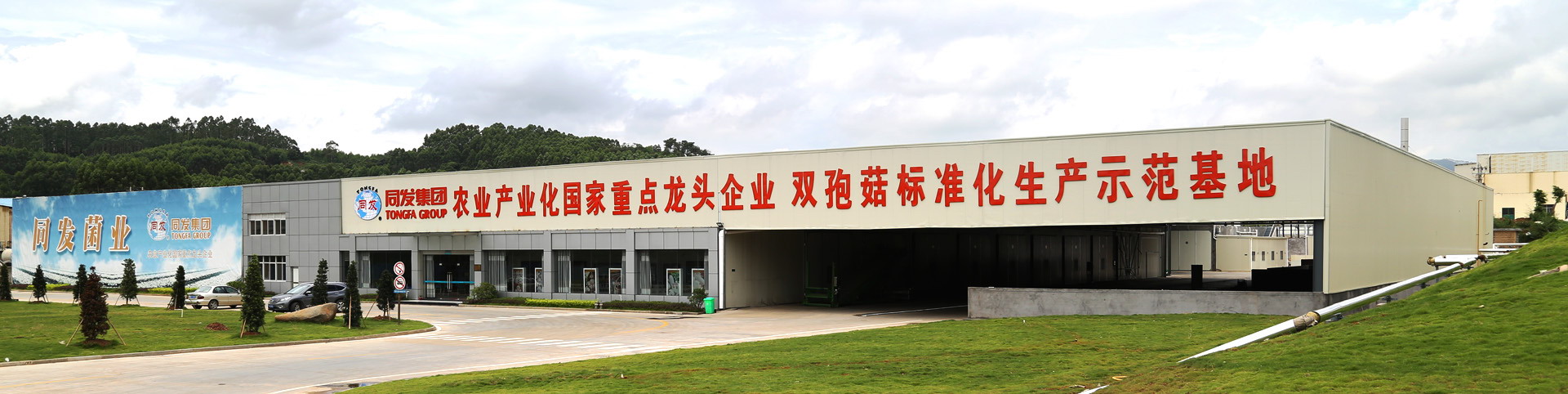 中国·永利(88858cc·VIP认证)官网 - GREEN LIFE