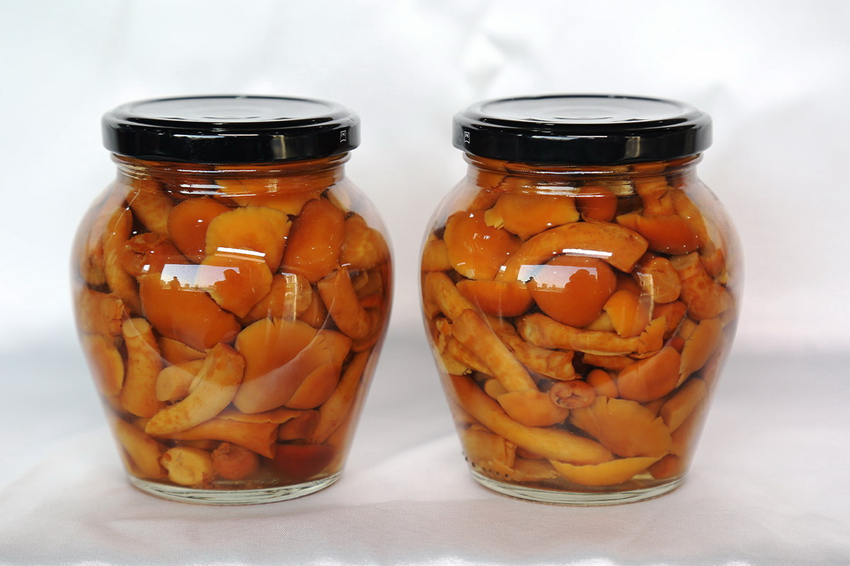 中国·永利(88858cc·VIP认证)官网 - GREEN LIFE