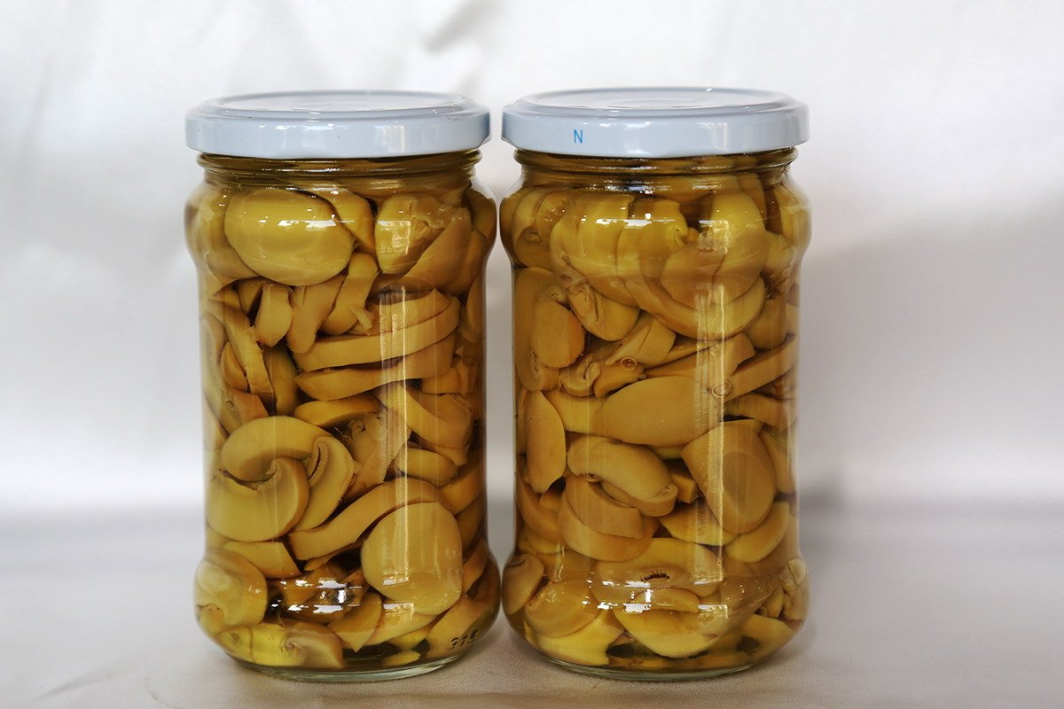 中国·永利(88858cc·VIP认证)官网 - GREEN LIFE