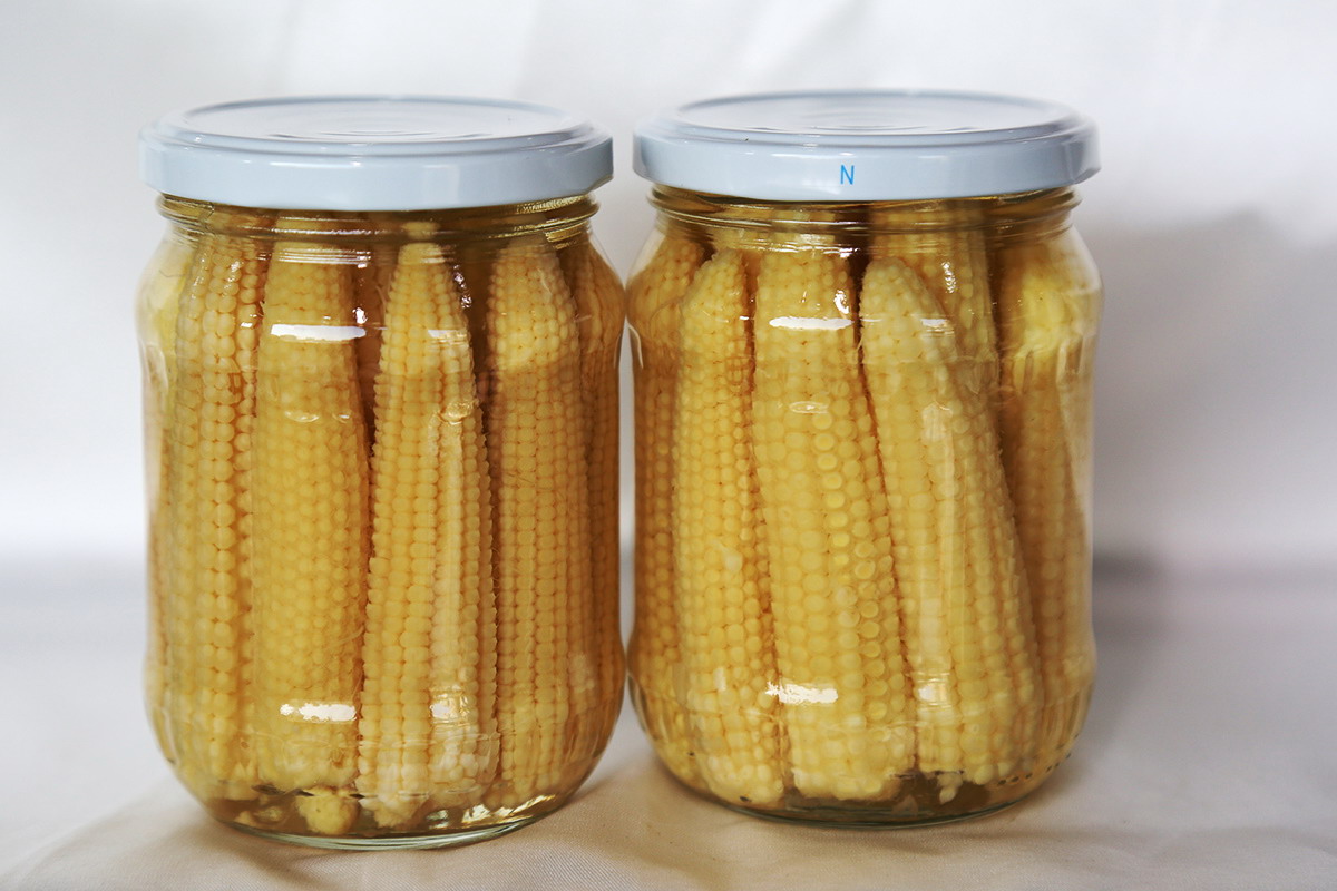 中国·永利(88858cc·VIP认证)官网 - GREEN LIFE